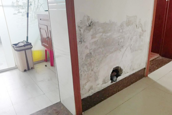 漏水檢測(cè)儀