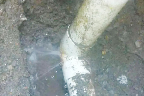 漏水檢測(cè)器