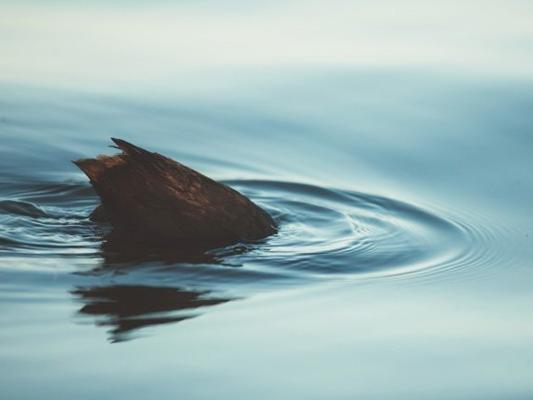 為什么水質(zhì)分析儀很重要？