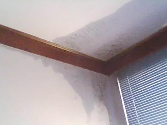 如何處理從廁所管道漏水到樓下？