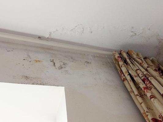 精準(zhǔn)測漏儀解決房屋漏水問題