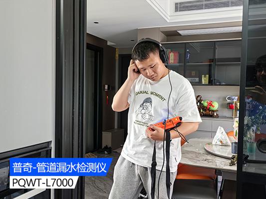 管道漏水查漏檢測儀器的重要性及應用