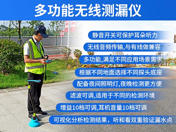 普奇BT30無線漏水檢測儀（聲震+氣體+尋管）