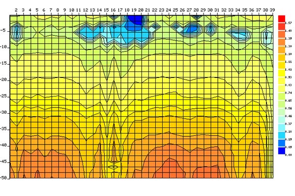 堤壩動物掏洞隱患